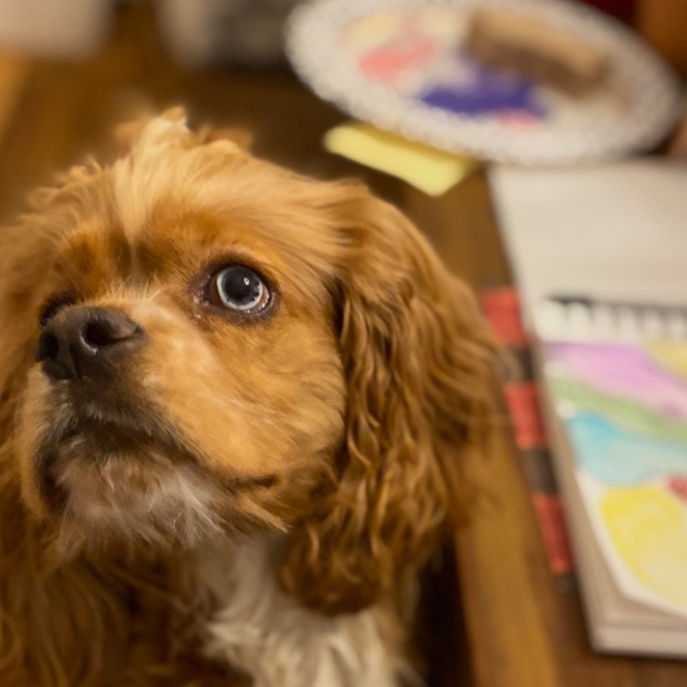 Meet your Posher, Brooke
